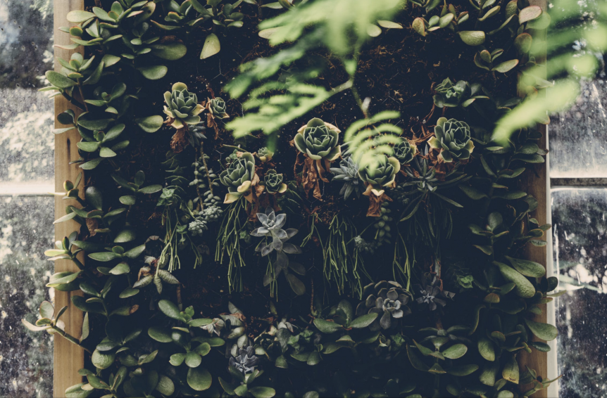 know your garden requirements for a development